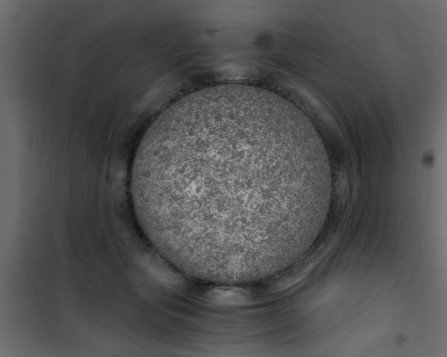 X0000101120557200807172003