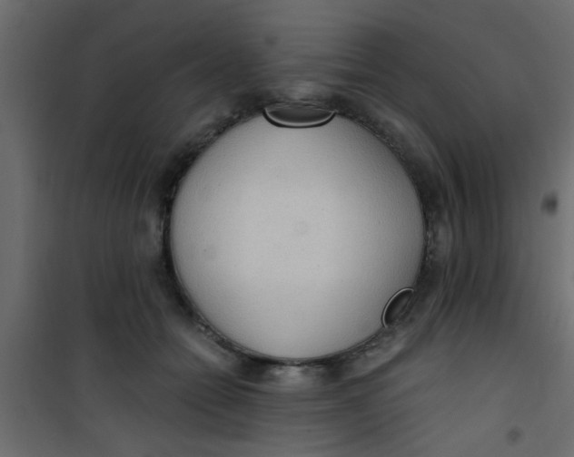 X0000101120558200807172003