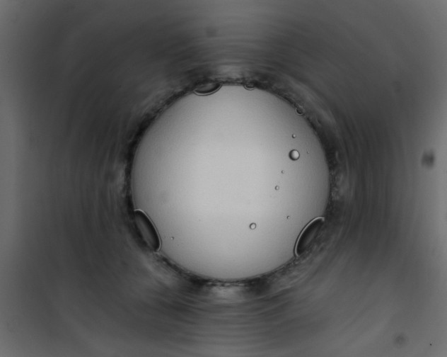 X0000101120560200807172003