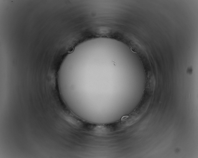 X0000101120562200807172003