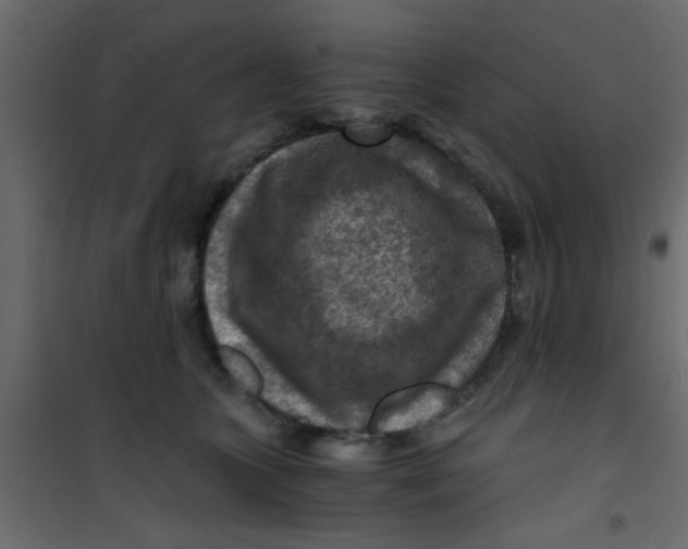 X0000101120563200807172003