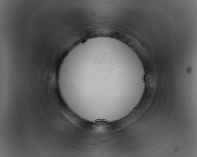 X0000101120564200807172003