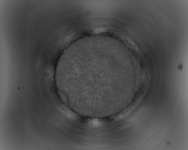 X0000101120565200807172003