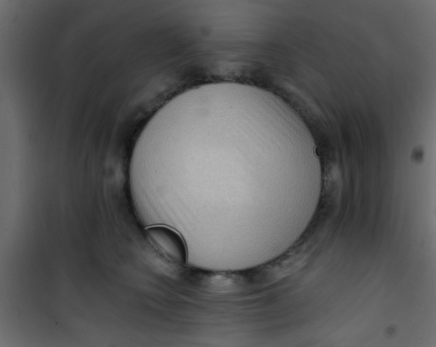 X0000101120566200807172003