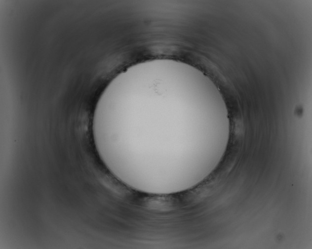 X0000101120567200807172003