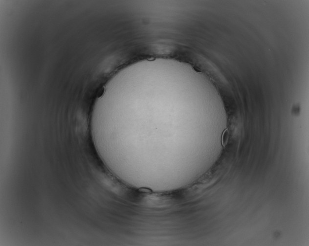 X0000101120568200807172003