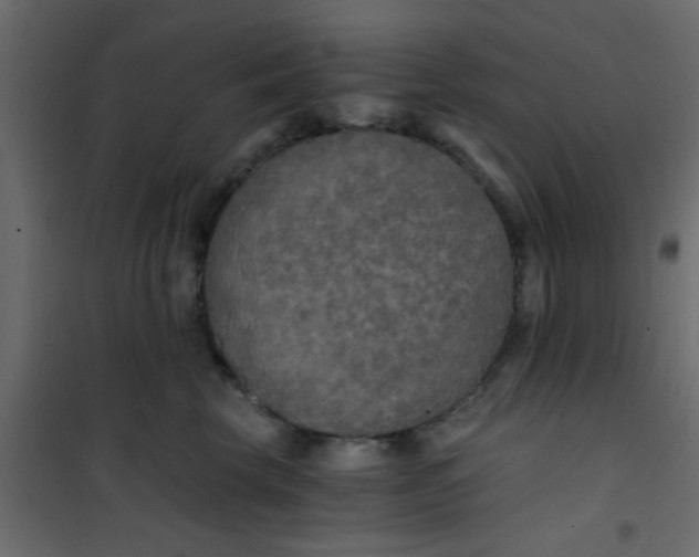 X0000101120569200807172003