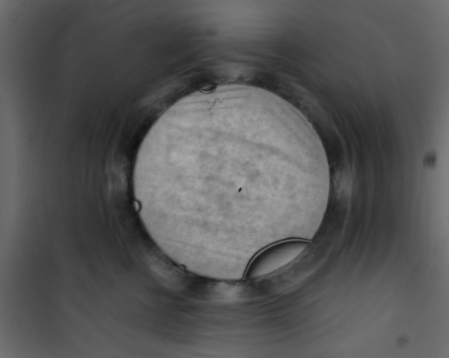 X0000101120570200807172003