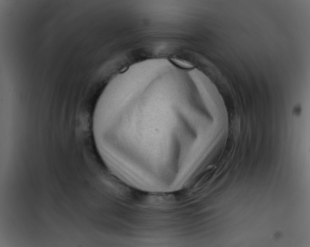 X0000101120571200807172003