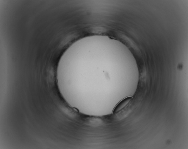 X0000101120572200807172003