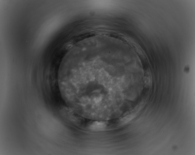 X0000101120573200807172003