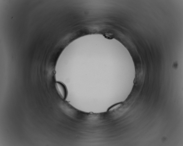 X0000101120574200807172003
