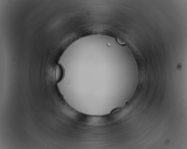 X0000101120575200807172003