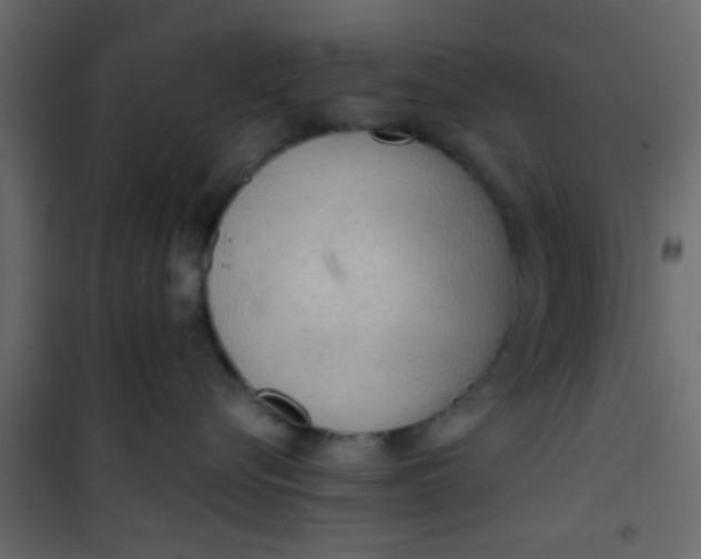 X0000101120576200807172003