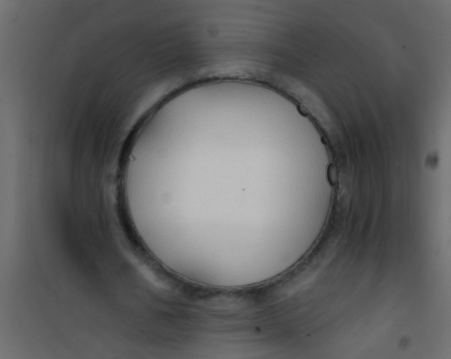 X0000101120578200807172002