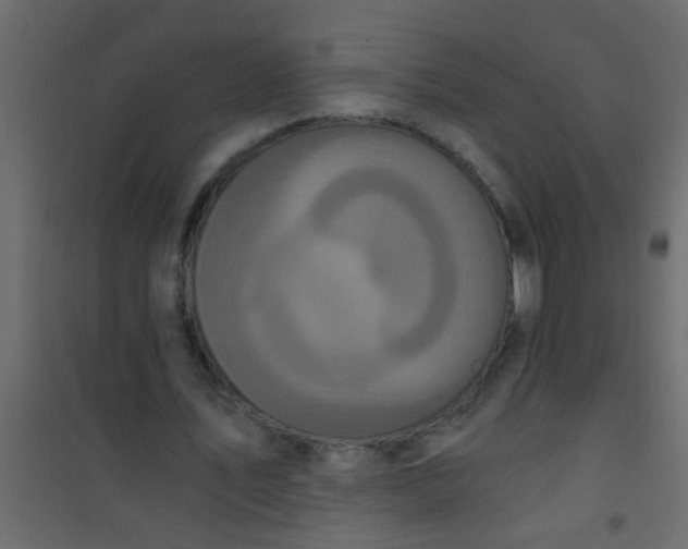 X0000101120579200807172002