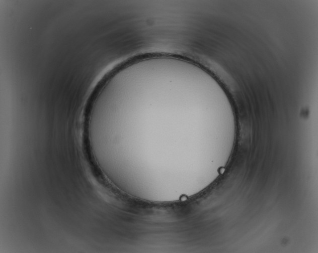 X0000101120580200807172002