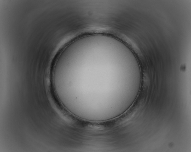 X0000101120582200807172002