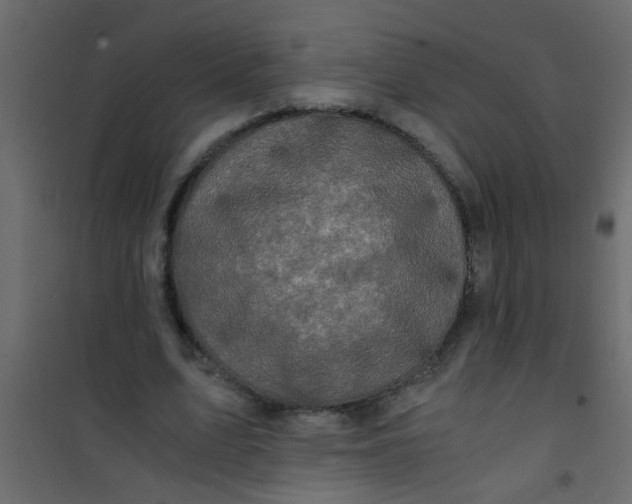 X0000101120583200807172002