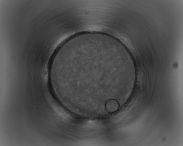 X0000101120584200807172002