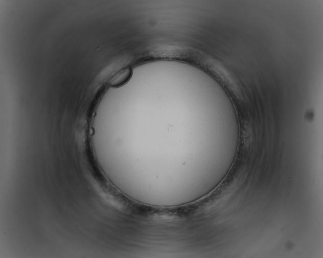 X0000101120586200807172002