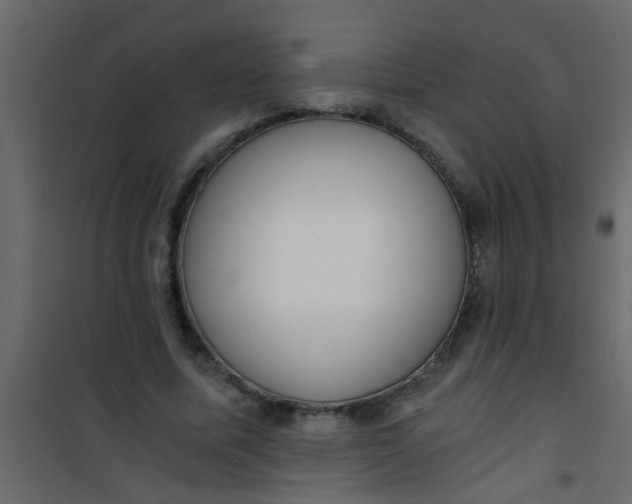 X0000101120587200807172002