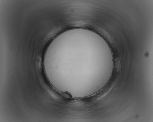 X0000101120589200807172002
