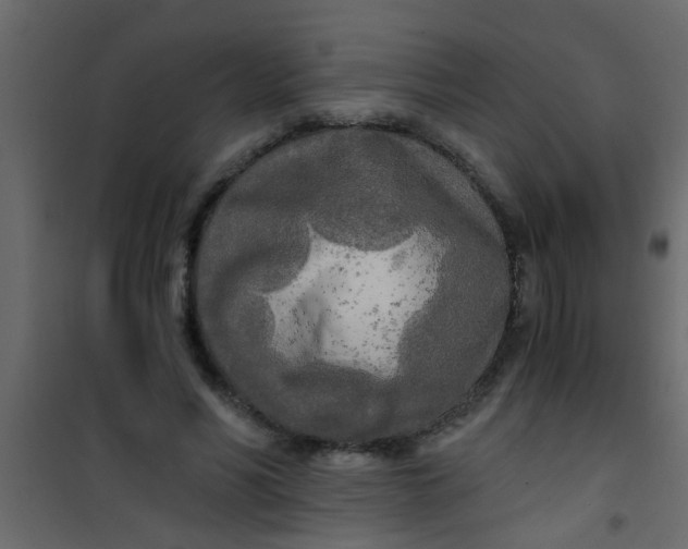 X0000101120590200807172002