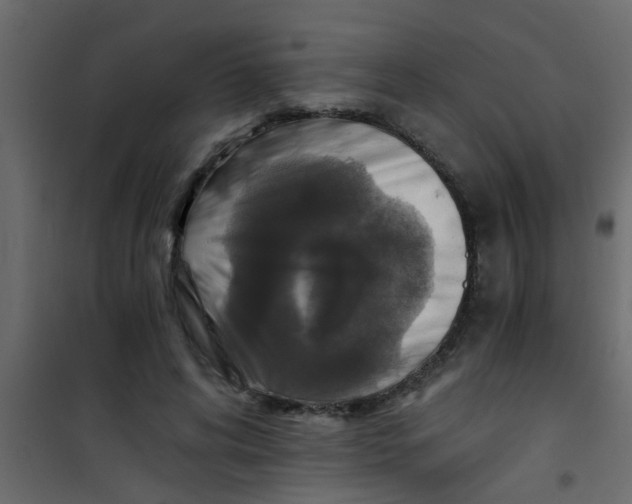 X0000101120592200807172002