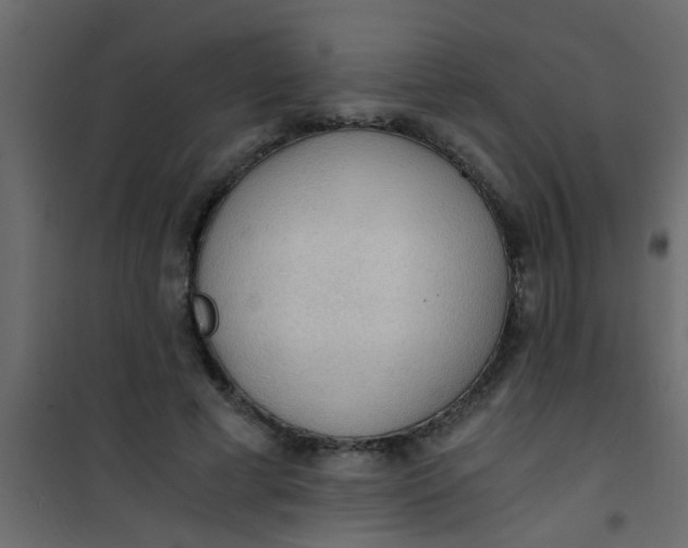 X0000101120593200807172002