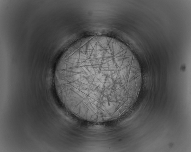 X0000101120594200807172002