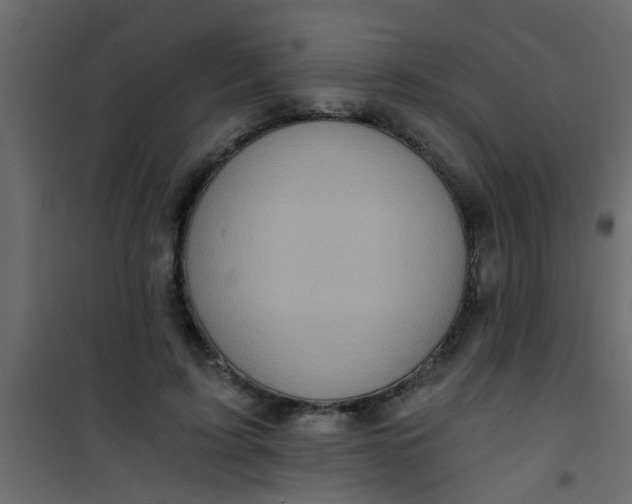 X0000101120595200807172002