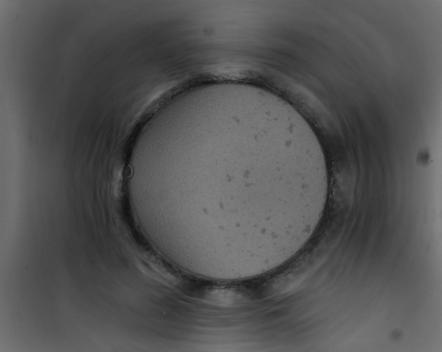 X0000101120596200807172002