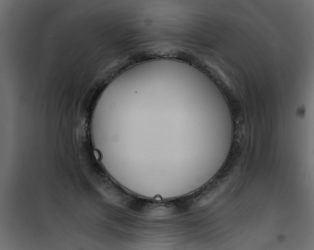 X0000101120597200807172002