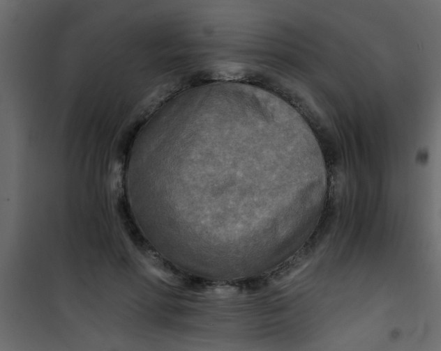 X0000101120598200807172002