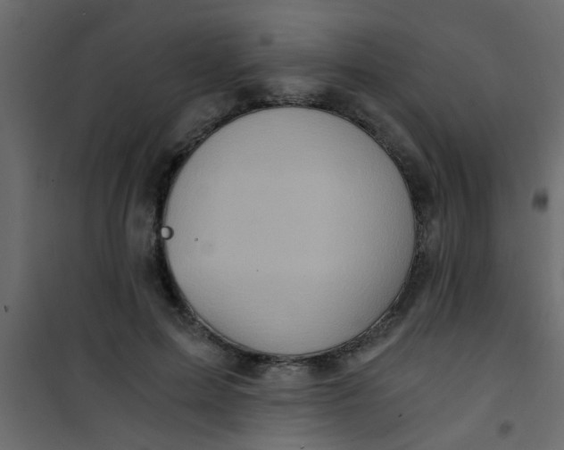 X0000101120599200807172002