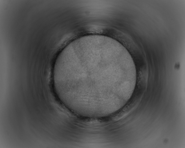 X0000101120600200807172002