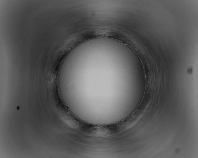 X0000101120601200807172002