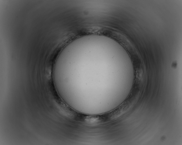 X0000101120602200807172002