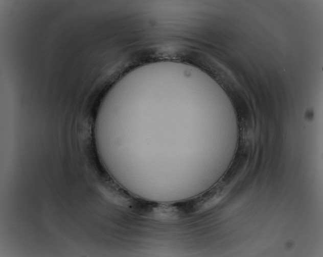 X0000101120603200807172002