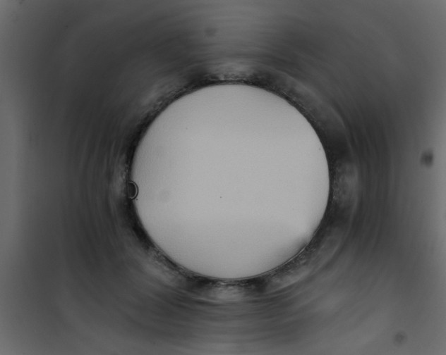 X0000101120604200807172002