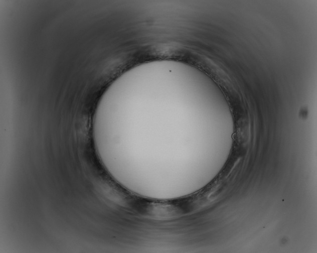 X0000101120605200807172002