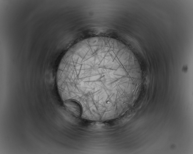 X0000101120607200807172002