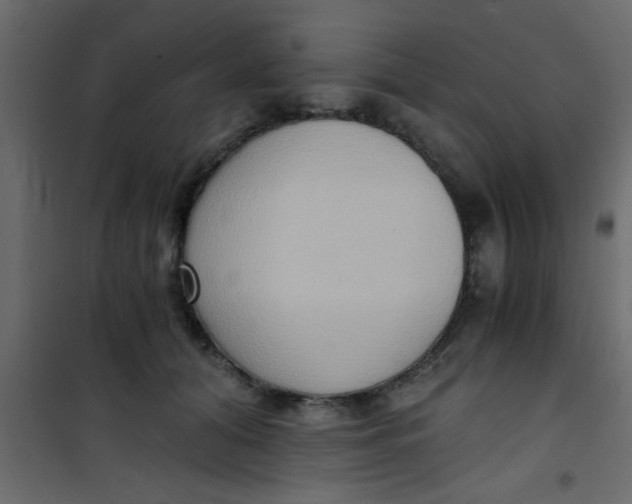 X0000101120608200807172002
