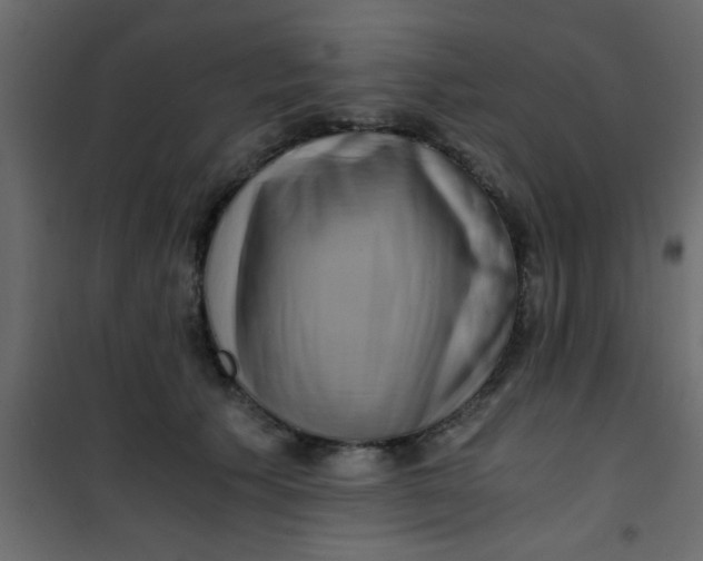 X0000101120609200807172002