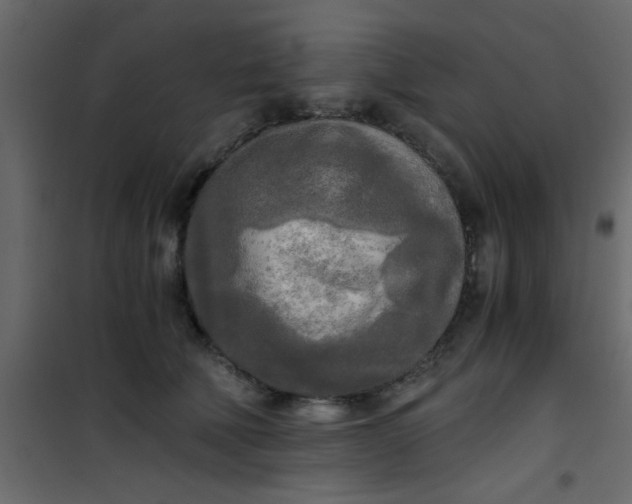 X0000101120610200807172002