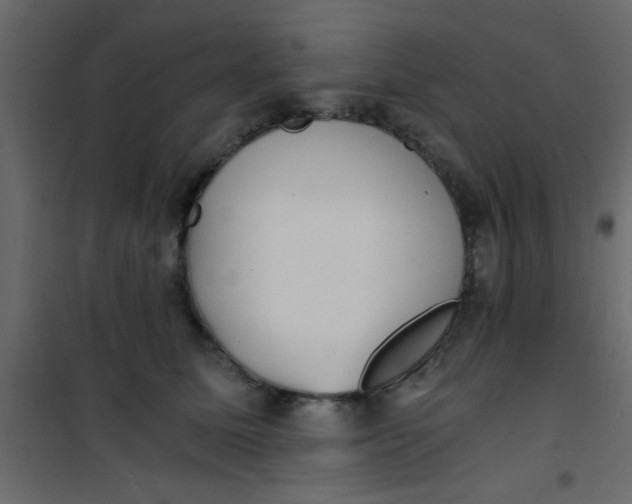 X0000101120611200807172002