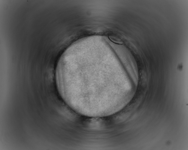 X0000101120612200807172002