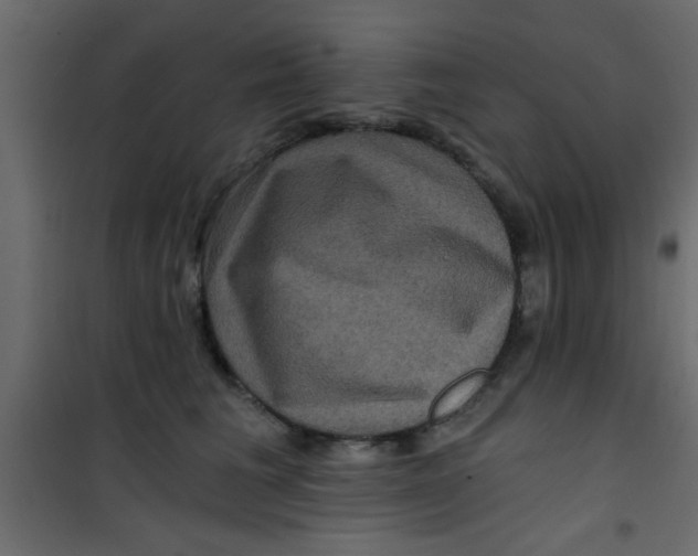 X0000101120613200807172002