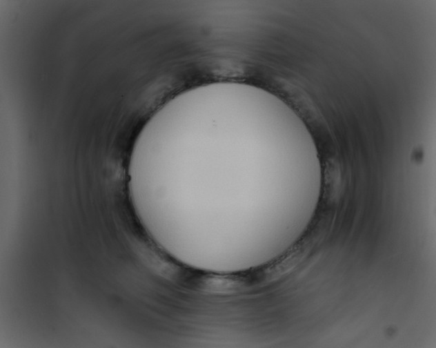 X0000101120614200807172002
